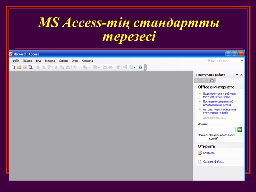 MS Access-тің стандартты терезесі